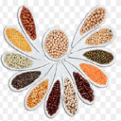 Dal